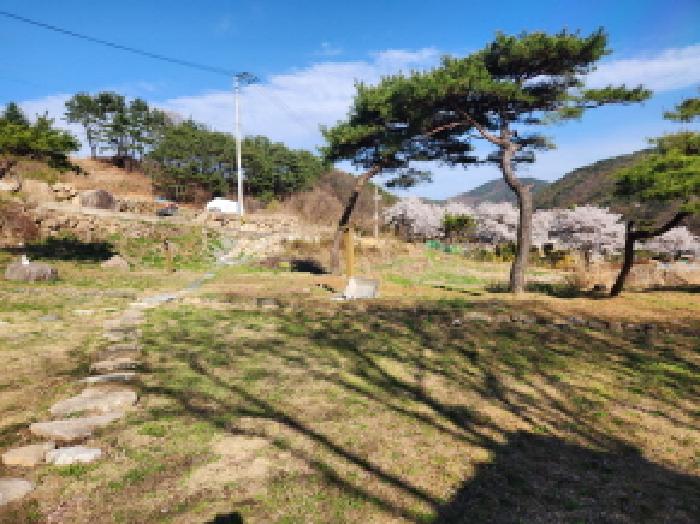 성주군 수륜면 백운리 단독주택 경매 물건 사진