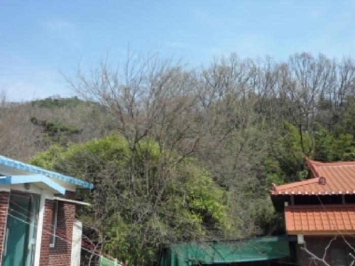 달성군 논공읍 삼리리 전답 경매 물건 사진