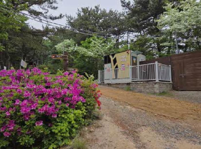 부산진구 초읍동 산129 임야 경매 물건 사진