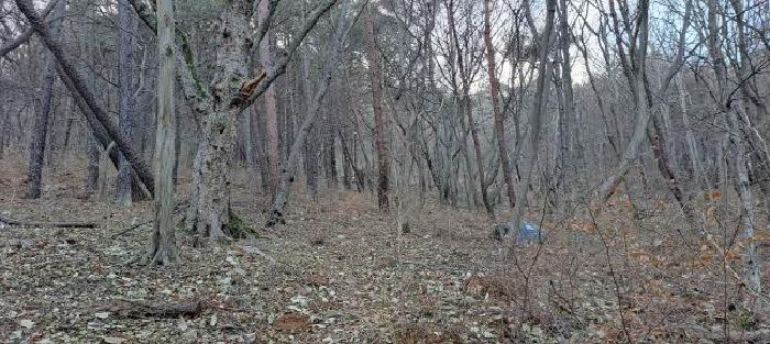 금정구 남산동 산55-2 임야 경매 물건 사진