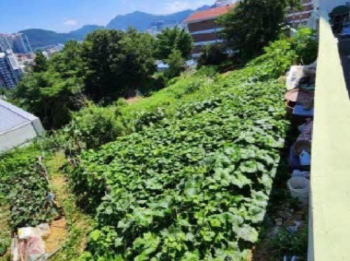 동래구 명장동 267-19 임야 경매 물건 사진