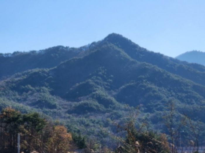 울주군 상북면 덕현리 임야 경매 물건 사진
