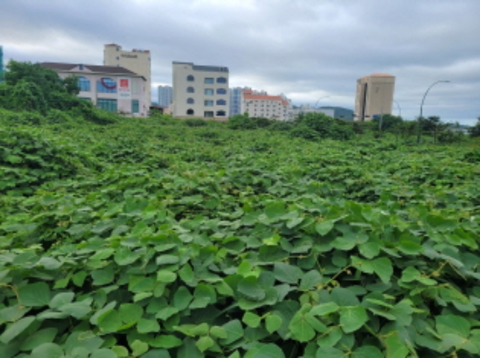 북구 산하동 1023-14 대지 경매 물건 사진