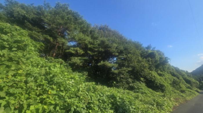 울주군 두동면 구미리 임야 경매 물건 사진