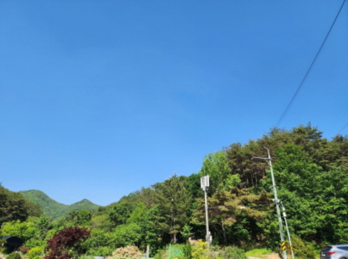 양산시 동면 내송리 임야 경매 물건 사진