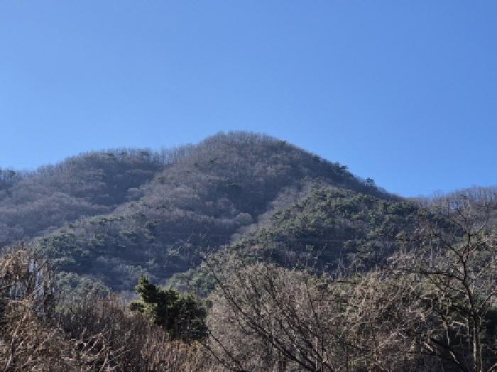 울주군 청량읍 율리 임야 경매 물건 사진