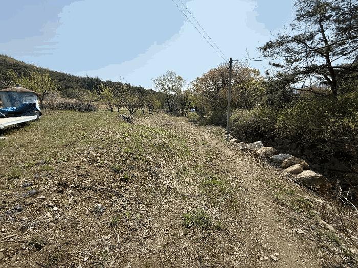 양산시 하북면 지산리 답 경매 물건 사진