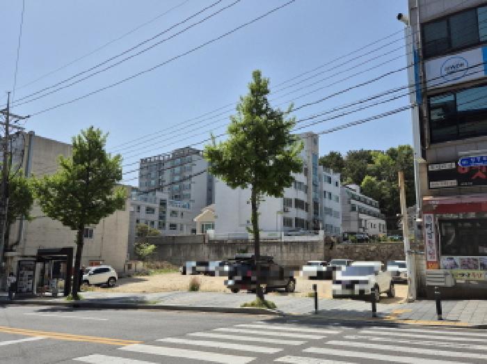 중구 성안동 392-13 대지 경매 물건 사진
