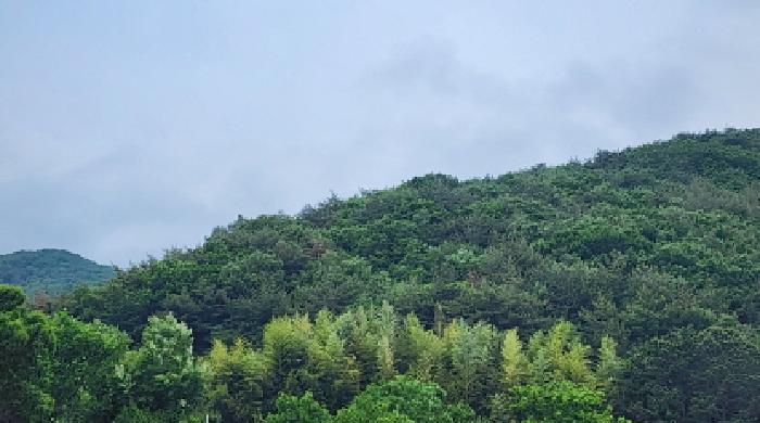 울주군 웅촌면 은현리 임야 경매 물건 사진