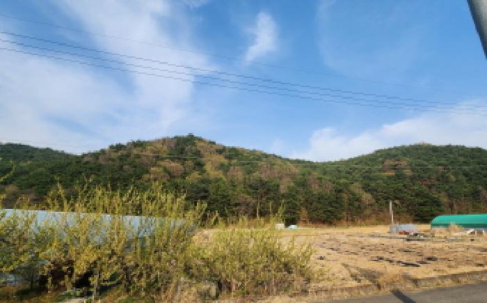 울주군 상북면 궁근정리 임야 경매 물건 사진