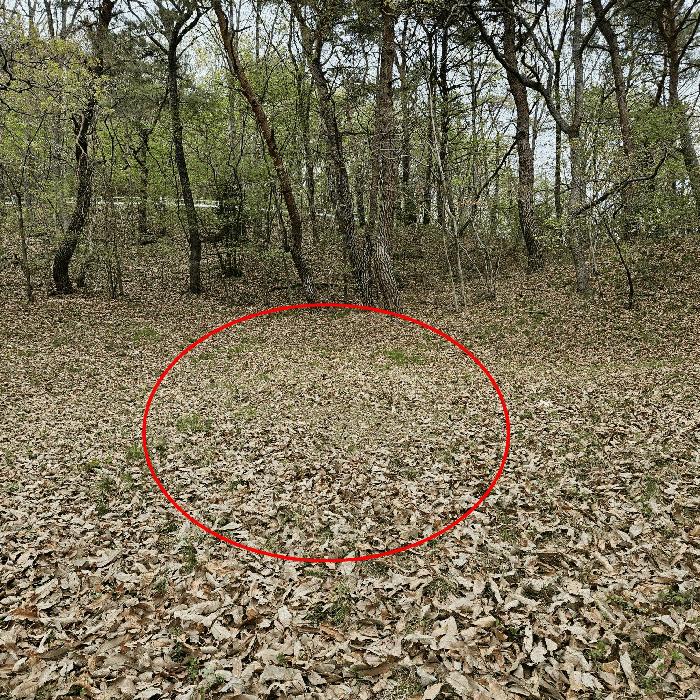 울주군 웅촌면 곡천리 임야 경매 물건 사진