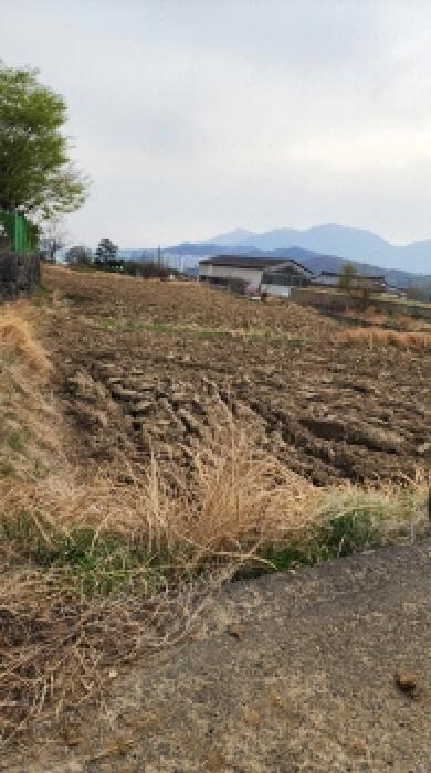 울주군 언양읍 직동리 답 경매 물건 사진