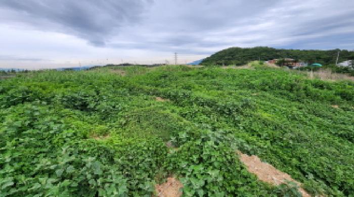 울주군 삼남읍 상천리 답 경매 물건 사진