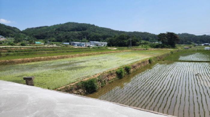 울주군 상북면 지내리 답 경매 물건 사진