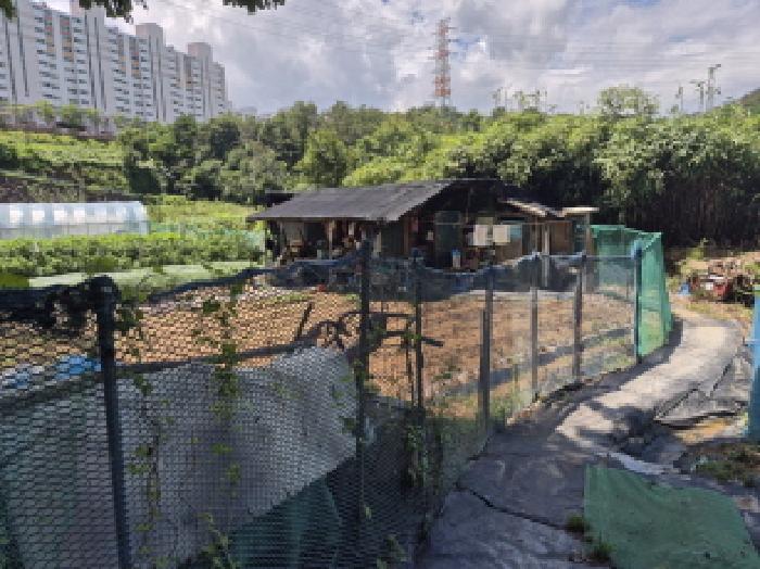 중구 성안동 571 전 경매 물건 사진