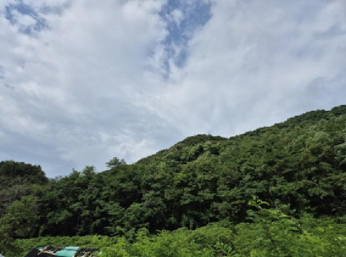 북구 매곡동 산18 임야 경매 물건 사진