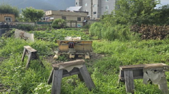 울주군 삼남읍 방기리 대지 경매 물건 사진