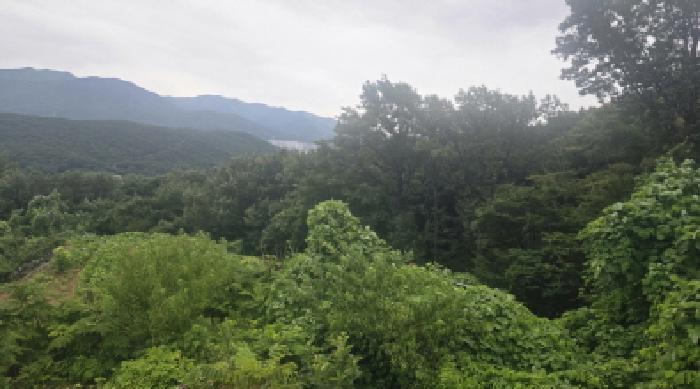 양산시 주남동 192-78 임야 경매 물건 사진