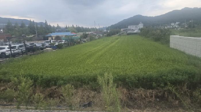 양산시 물금읍 증산리 전답 경매 물건 사진