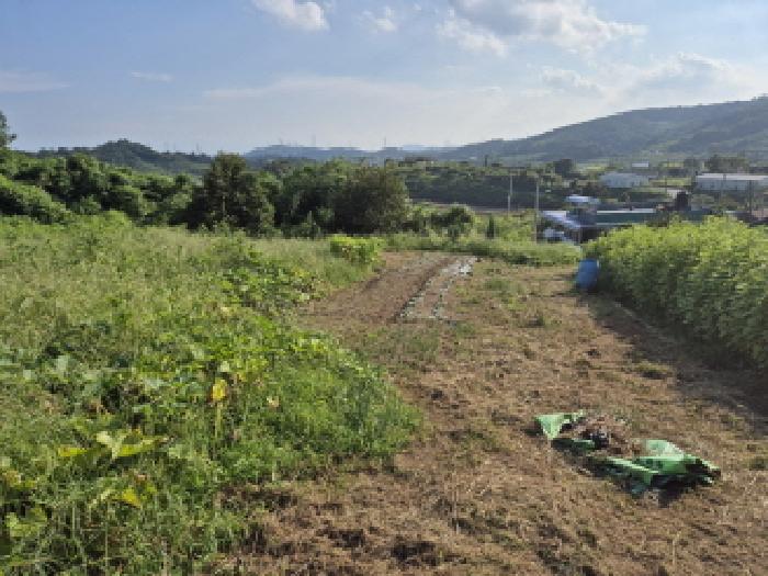 울주군 서생면 위양리 과수원 경매 물건 사진