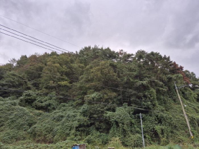 울주군 온산읍 삼평리 임야 경매 물건 사진