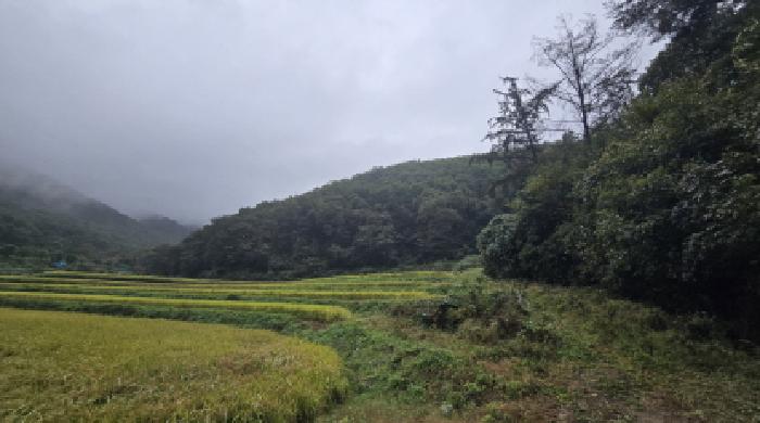울주군 두동면 월평리 임야 경매 물건 사진