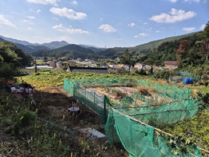 울주군 온양읍 삼광리 대지,임야,전답 경매 물건 사진
