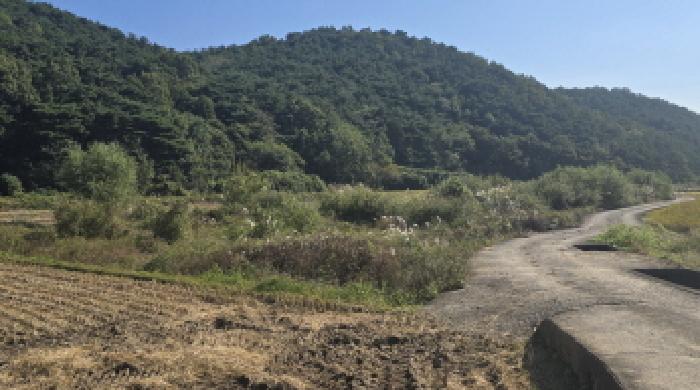 울주군 상북면 궁근정리 전답 경매 물건 사진