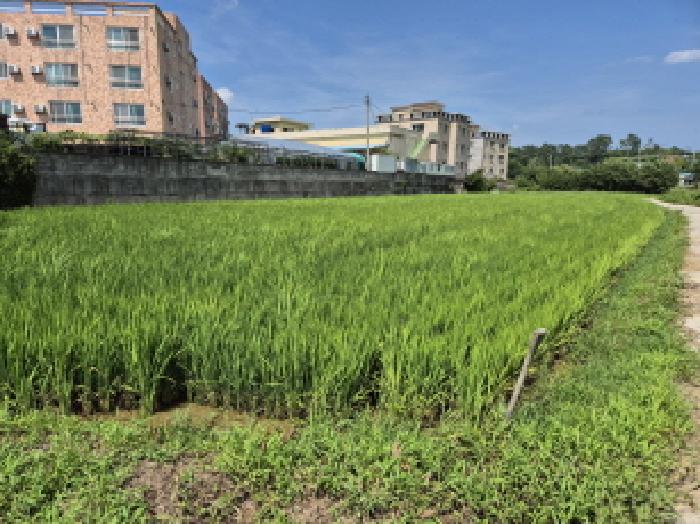 울주군 서생면 화산리 답 경매 물건 사진