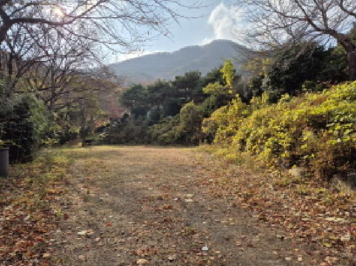 울주군 청량읍 율리 단독주택 경매 물건 사진