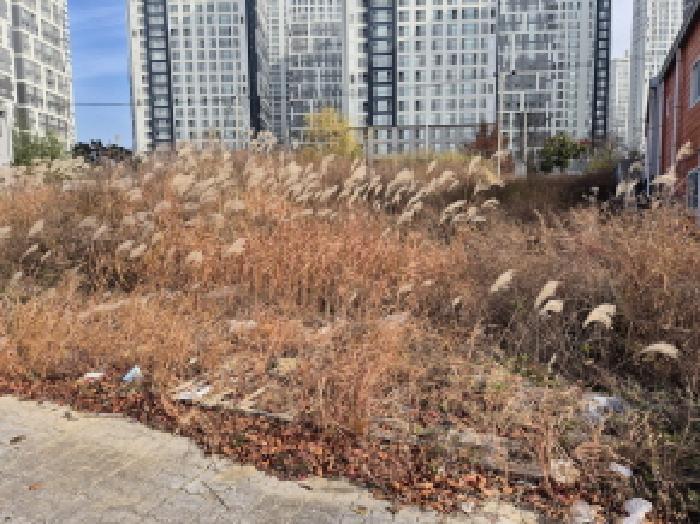 북구 매곡동 899-3 대지 경매 물건 사진