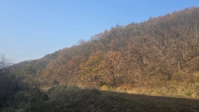 양산시 하북면 답곡리 임야 경매 물건 사진