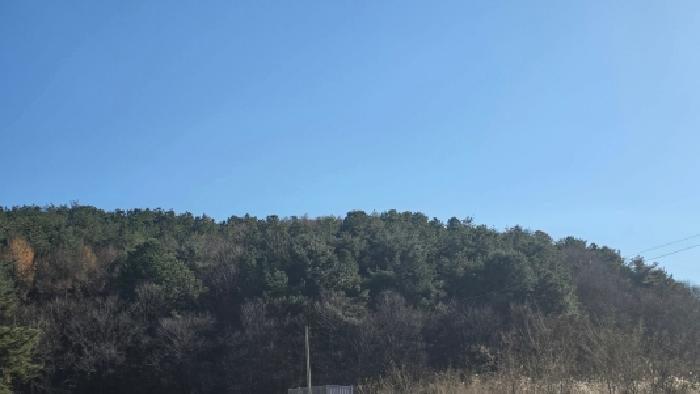 울주군 범서읍 중리 임야 경매 물건 사진