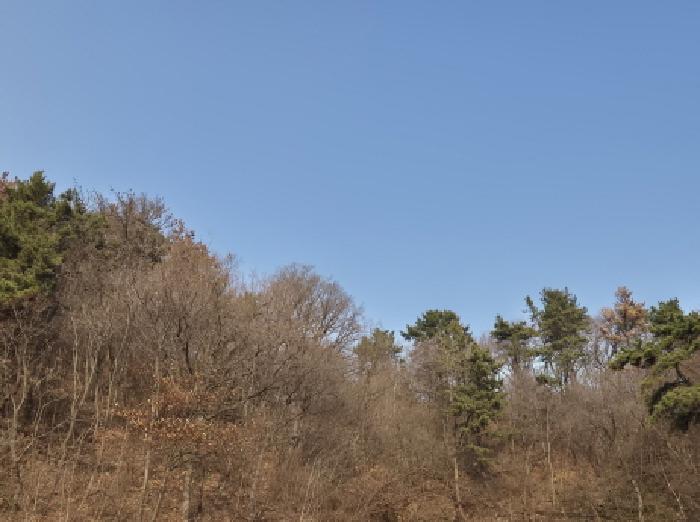 울주군 온산읍 강양리 임야 경매 물건 사진