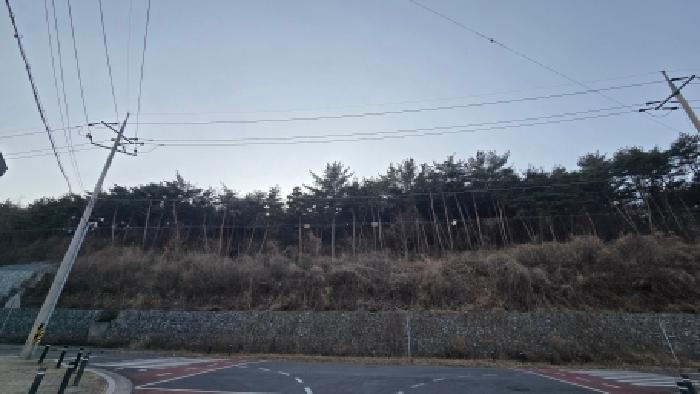 울주군 상북면 양등리 임야 경매 물건 사진