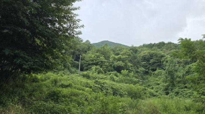 울주군 삼남읍 가천리 임야 경매 물건 사진
