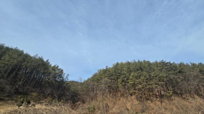 울주군 두동면 봉계리 임야 경매 물건 사진