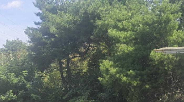 양산시 명동 산23 임야 경매 물건 사진
