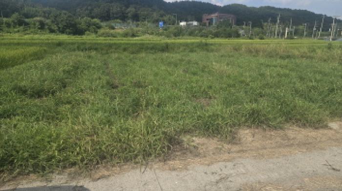 울주군 언양읍 반송리 답 경매 물건 사진