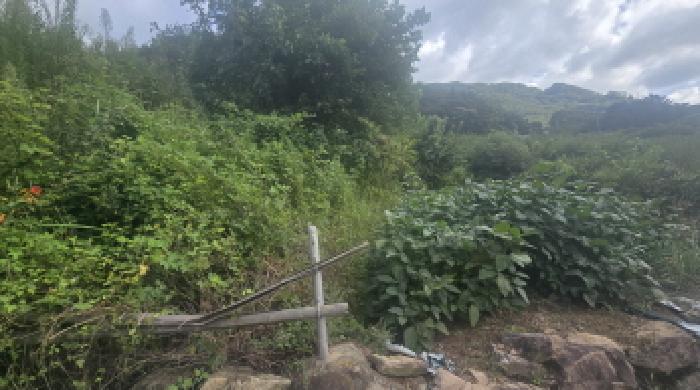 양산시 원동면 영포리 전답 경매 물건 사진