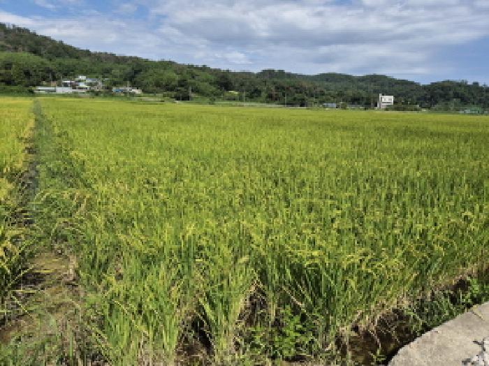 울주군 온양읍 동상리 답 경매 물건 사진