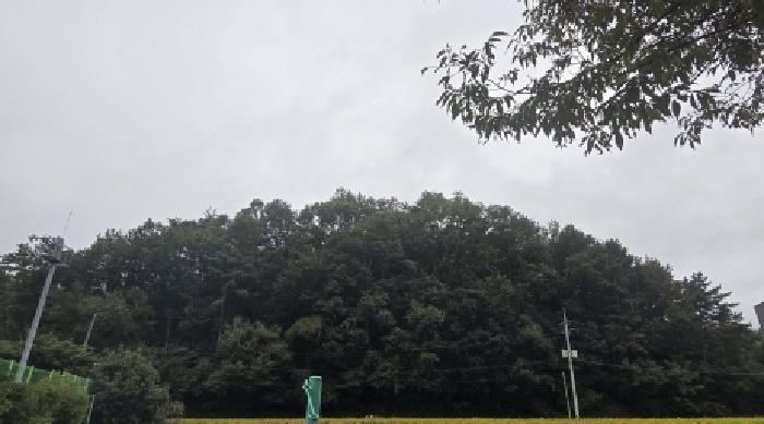 울주군 범서읍 천상리 임야 경매 물건 사진