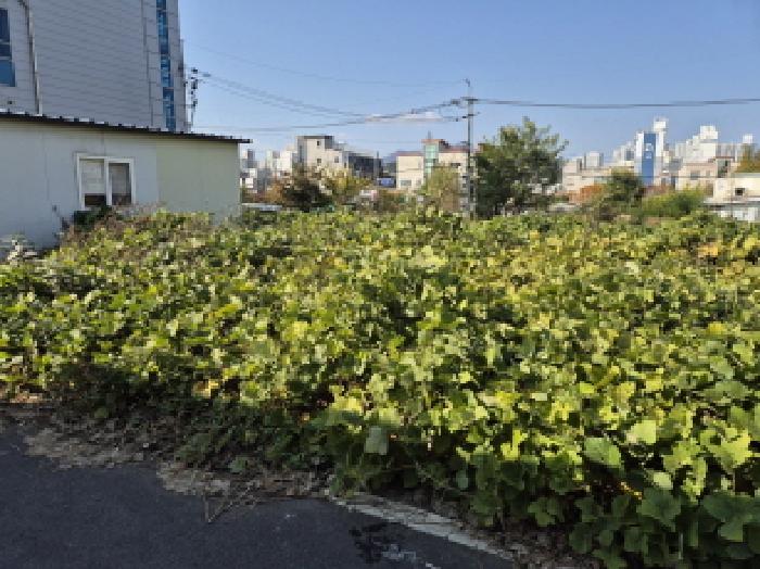 울주군 온양읍 발리 과수원 경매 물건 사진