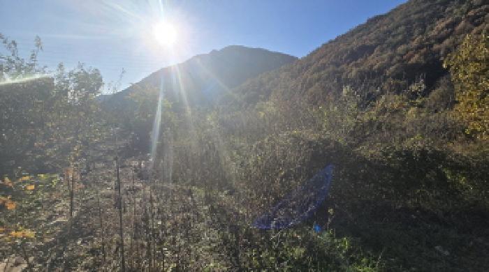 양산시 원동면 내포리 전답 경매 물건 사진