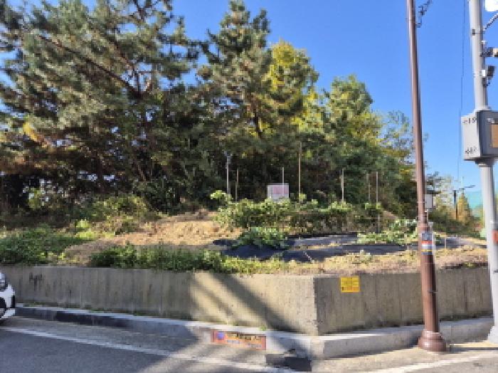울주군 온산읍 덕신리 임야 경매 물건 사진