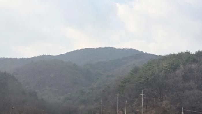울주군 웅촌면 대복리 임야 경매 물건 사진