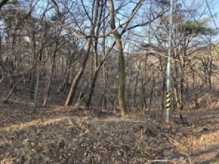 북구 무룡동 산66-8 임야 경매 물건 사진