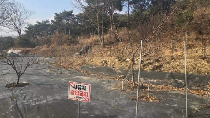 울주군 언양읍 직동리 임야 경매 물건 사진