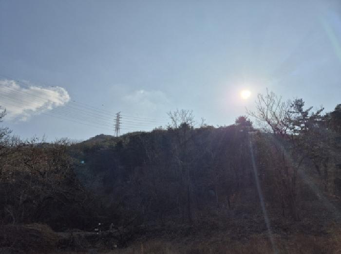 북구 매곡동 산145-3 임야 경매 물건 사진