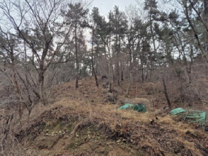울주군 서생면 나사리 답 경매 물건 사진